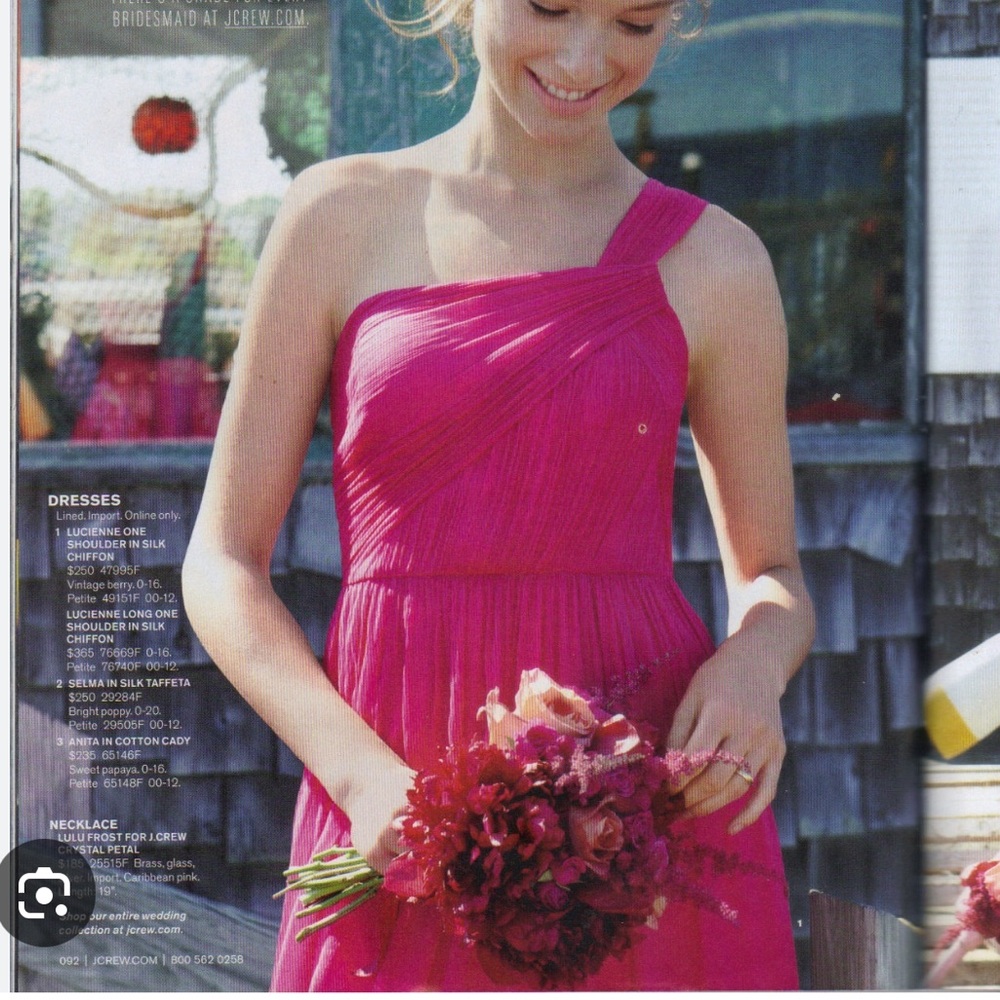 NWT Pink Chiffon Wedding Guest Dress Formal J. Crew Size 10 One Shoulder (M/L)